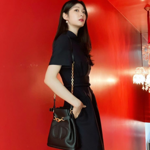 디올 C'EST DIOR 미디엄 백