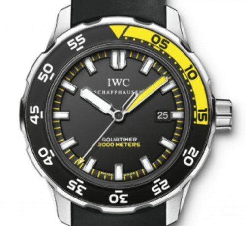 [Premium] IWC 아쿠아타이머 오토매틱 2000 IW356802 [44mm]