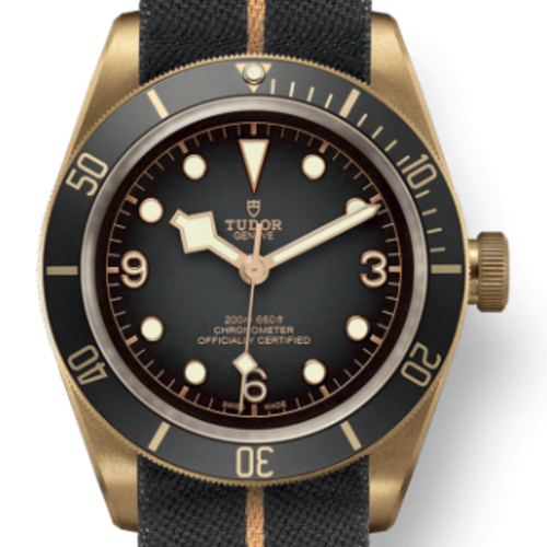 [Premium] 튜더 블랙 베이 브론즈 M79250BA-0002 [43mm]