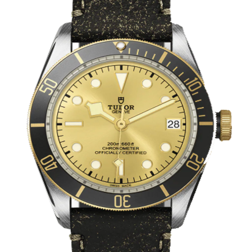 [Premium] 튜더 블랙 베이 M79733N-0003 [43mm]