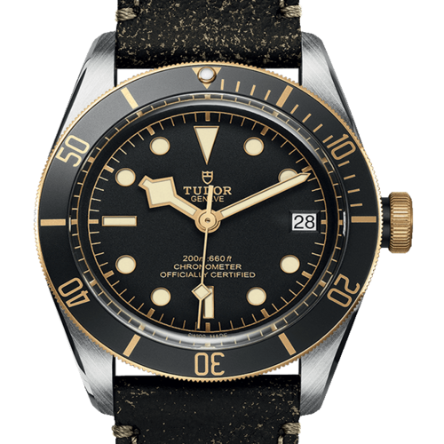 [Premium] 튜더 블랙 베이 M79733N-0007 [43mm]