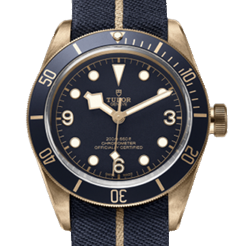 [Premium] 튜더 블랙 베이 M79250BB-0001 [43mm]