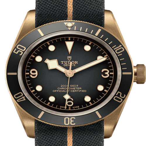 [Premium] 튜더 블랙 베이 M79250BA-0002 [43mm]