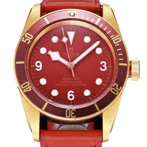 [Premium] 튜더 블랙 베이 M79250BM [43mm]