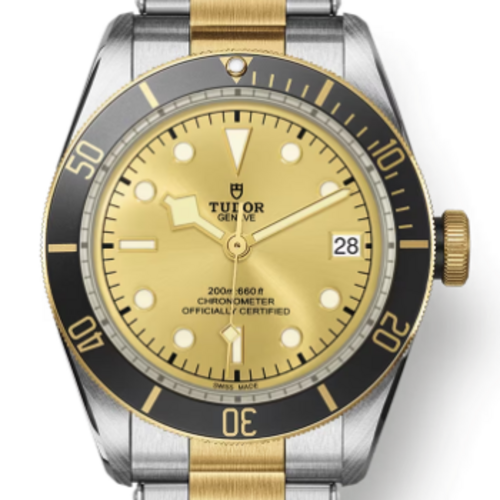 [Premium] 튜더 블랙 베이 M79733N-0004 [43mm]